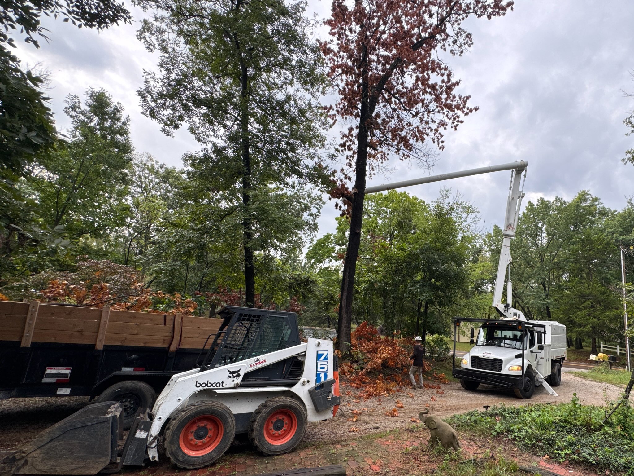 535278997023_1 535278997023_1